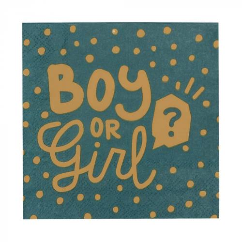 SERVIETTES BOY OR GIRL X 12